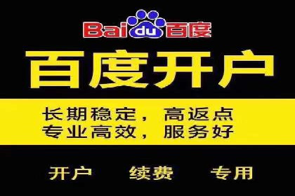 百度搜索推广实战案例：揭秘高效推广背后的秘密